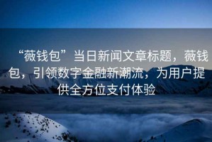 “薇錢包”當日新聞文章標題，薇錢包，引領(lǐng)數(shù)字金融新潮流，為用戶提供全方位支付體驗