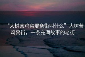 “大樹營雞窩那條街叫什么”大樹營雞窩街，一條充滿故事的老街