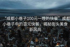 “成都小巷子100元一晚的快餐”成都小巷子中的百元快餐，揭秘街頭美食新風(fēng)尚
