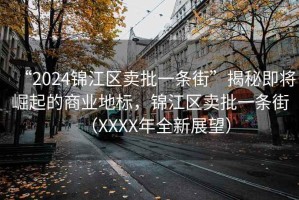 “2024錦江區(qū)賣(mài)批一條街”揭秘即將崛起的商業(yè)地標(biāo)，錦江區(qū)賣(mài)批一條街（XXXX年全新展望）