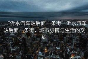 “沂水汽車站后面一條街”沂水汽車站后面一條街，城市脈搏與生活的交織