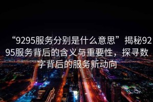 “9295服務(wù)分別是什么意思”揭秘9295服務(wù)背后的含義與重要性，探尋數(shù)字背后的服務(wù)新動(dòng)向