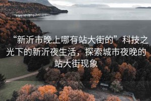 “新沂市晚上哪有站大街的”科技之光下的新沂夜生活，探索城市夜晚的站大街現(xiàn)象