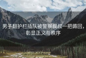 男子翻護欄插隊被警察叔叔一把薅回，彰顯正義與秩序