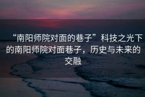 “南陽師院對(duì)面的巷子”科技之光下的南陽師院對(duì)面巷子，歷史與未來的交融