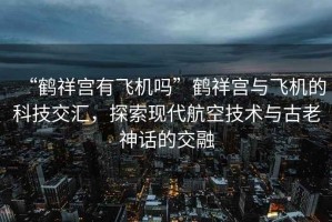 “鶴祥宮有飛機嗎”鶴祥宮與飛機的科技交匯，探索現(xiàn)代航空技術(shù)與古老神話的交融