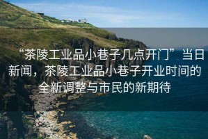 “茶陵工業(yè)品小巷子幾點開門”當(dāng)日新聞，茶陵工業(yè)品小巷子開業(yè)時間的全新調(diào)整與市民的新期待