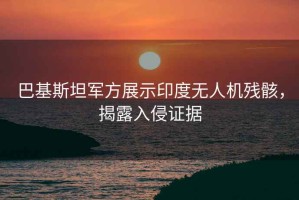 巴基斯坦軍方展示印度無(wú)人機(jī)殘骸，揭露入侵證據(jù)