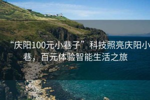 “慶陽(yáng)100元小巷子”科技照亮慶陽(yáng)小巷，百元體驗(yàn)智能生活之旅