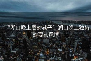 “湖口晚上耍的巷子”湖口晚上獨特的耍巷風情