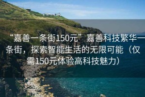“嘉善一條街150元”嘉善科技繁華一條街，探索智能生活的無限可能（僅需150元體驗高科技魅力）