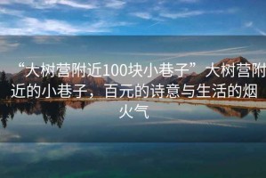 “大樹營附近100塊小巷子”大樹營附近的小巷子，百元的詩意與生活的煙火氣