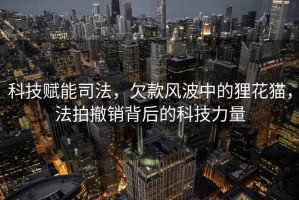 科技賦能司法，欠款風(fēng)波中的貍花貓，法拍撤銷背后的科技力量
