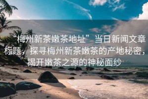 “梅州新茶嫩茶地址”當(dāng)日新聞文章標(biāo)題，探尋梅州新茶嫩茶的產(chǎn)地秘密，揭開嫩茶之源的神秘面紗
