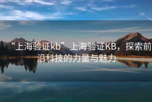 “上海驗(yàn)證kb”上海驗(yàn)證KB，探索前沿科技的力量與魅力