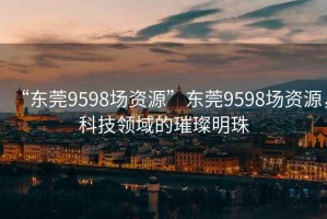 “東莞9598場(chǎng)資源”東莞9598場(chǎng)資源，科技領(lǐng)域的璀璨明珠