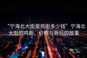 “寧海北大街是雞街多少錢”寧海北大街的雞街，價(jià)格與背后的故事