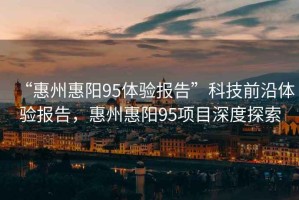 “惠州惠陽95體驗報告”科技前沿體驗報告，惠州惠陽95項目深度探索