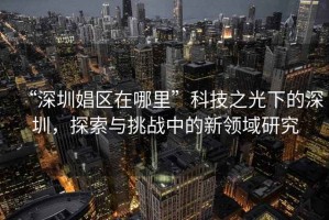 “深圳娼區(qū)在哪里”科技之光下的深圳，探索與挑戰(zhàn)中的新領(lǐng)域研究