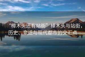“樟木頭還有站街”樟木頭與站街，歷史、變遷與現(xiàn)代都市的交匯點(diǎn)