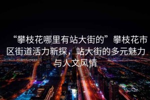 “攀枝花哪里有站大街的”攀枝花市區(qū)街道活力新探，站大街的多元魅力與人文風情