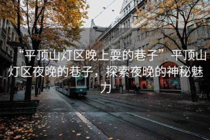 “平頂山燈區(qū)晚上耍的巷子”平頂山燈區(qū)夜晚的巷子，探索夜晚的神秘魅力