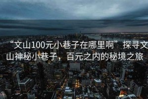 “文山100元小巷子在哪里啊”探尋文山神秘小巷子，百元之內(nèi)的秘境之旅
