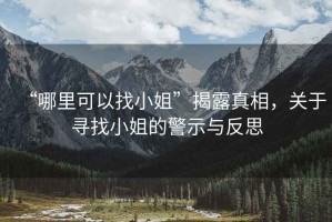 “哪里可以找小姐”揭露真相，關(guān)于尋找小姐的警示與反思