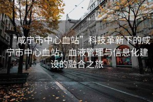 “咸寧市中心血站”科技革新下的咸寧市中心血站，血液管理與信息化建設(shè)的融合之旅