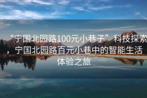 “寧國北園路100元小巷子”科技探索，寧國北園路百元小巷中的智能生活體驗之旅
