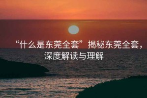 “什么是東莞全套”揭秘東莞全套，深度解讀與理解