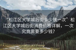 “松江區(qū)大學(xué)城后街多少錢一次”松江區(qū)大學(xué)城后街消費價格詳解，一次究竟需要多少錢？