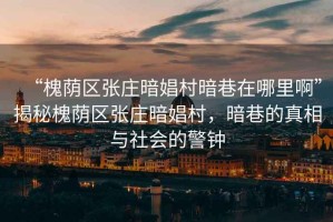 “槐蔭區(qū)張莊暗娼村暗巷在哪里啊”揭秘槐蔭區(qū)張莊暗娼村，暗巷的真相與社會的警鐘