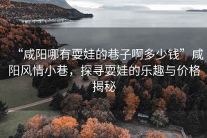 “咸陽哪有耍娃的巷子啊多少錢”咸陽風情小巷，探尋耍娃的樂趣與價格揭秘