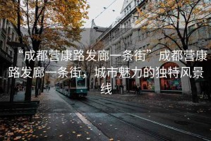 “成都營康路發(fā)廊一條街”成都營康路發(fā)廊一條街，城市魅力的獨特風(fēng)景線