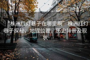 “株洲紅燈巷子在哪里啊”株洲紅燈巷子探秘，地理位置、歷史背景及現(xiàn)狀