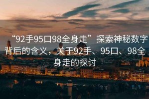 “92手95口98全身走”探索神秘數(shù)字背后的含義，關(guān)于92手、95口、98全身走的探討