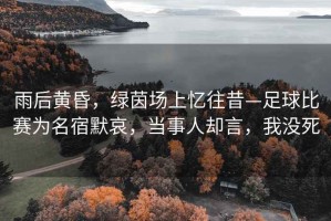 雨后黃昏，綠茵場上憶往昔—足球比賽為名宿默哀，當事人卻言，我沒死