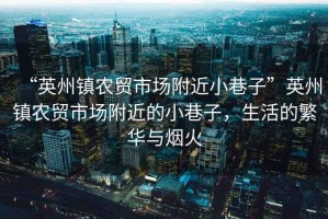 “英州鎮(zhèn)農(nóng)貿(mào)市場(chǎng)附近小巷子”英州鎮(zhèn)農(nóng)貿(mào)市場(chǎng)附近的小巷子，生活的繁華與煙火