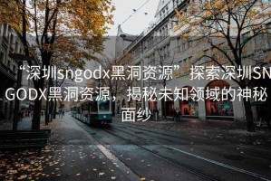 “深圳sngodx黑洞資源”探索深圳SNGODX黑洞資源，揭秘未知領(lǐng)域的神秘面紗