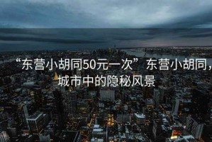 “東營(yíng)小胡同50元一次”東營(yíng)小胡同，城市中的隱秘風(fēng)景