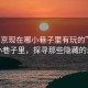 “南京現(xiàn)在哪小巷子里有玩的”南京的小巷子里，探尋那些隱藏的樂趣