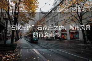 “石家莊約”石家莊之約，城市風(fēng)景的詩意畫卷