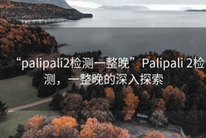 “palipali2檢測(cè)一整晚”Palipali 2檢測(cè)，一整晚的深入探索