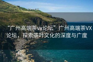 “廣州高端茶vx論壇”廣州高端茶VX論壇，探索茶葉文化的深度與廣度