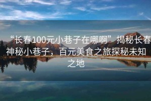“長(zhǎng)春100元小巷子在哪啊”揭秘長(zhǎng)春神秘小巷子，百元美食之旅探秘未知之地