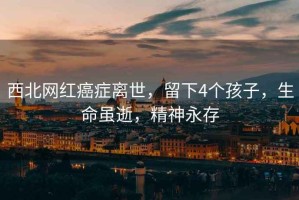 西北網(wǎng)紅癌癥離世，留下4個(gè)孩子，生命雖逝，精神永存
