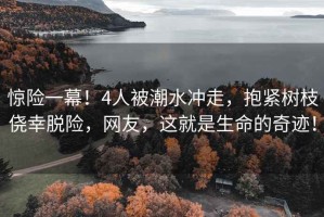 驚險一幕！4人被潮水沖走，抱緊樹枝僥幸脫險，網(wǎng)友，這就是生命的奇跡！