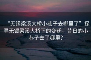“無(wú)錫梁溪大橋小巷子去哪里了”探尋無(wú)錫梁溪大橋下的變遷，昔日的小巷子去了哪里？