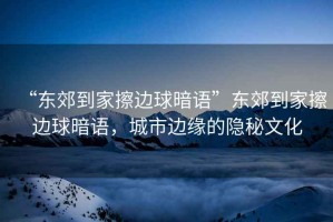 “東郊到家擦邊球暗語”東郊到家擦邊球暗語，城市邊緣的隱秘文化